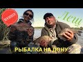 Рыбалка на Дону | Лещ | Вкусняшки