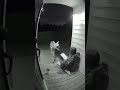 Don't sit outside late night