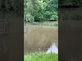 Rescuing my chickens from a flash flood