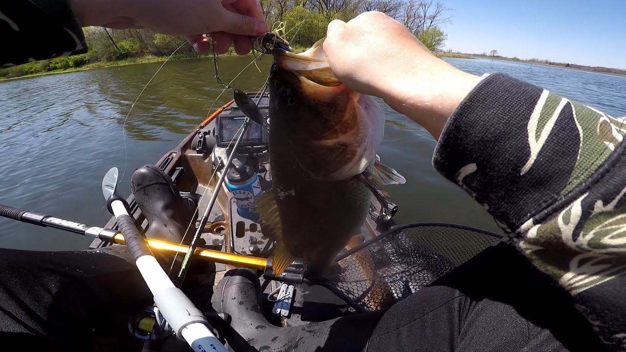 SPINNERBAITS in SHALLOW WOOD for HUNGRY SPRING BASS