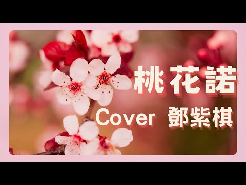 【桃花諾 KTV】電視劇《上古情歌》片尾曲