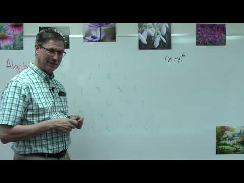 Algebra 1131 p.