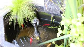 Blagdon Affinity Half Moon 2 Year On Update