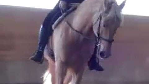 Part 5 - The Riding Lesson ~ Using the Leg ~  with JP Giacomini 5th of a 5 Part Lesson