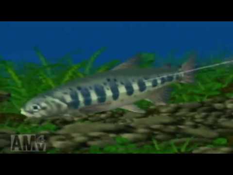 ぬし釣り64 -潮風にのって-