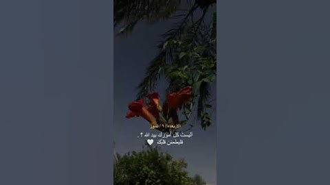 حالات واتس اب مؤثرة | اية تهز قلبك بصوت القارئ | Quran Status, 91 (1)