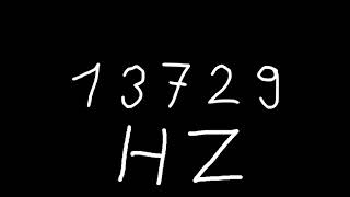 13729 Hz
