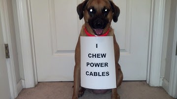 How to repair a chewed up power cord.