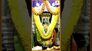 Nambina Janoku Koru Imbu | Manjunatha Swamy | Maha Shivaratri Song | Puttur Narasimha Nayak #shorts