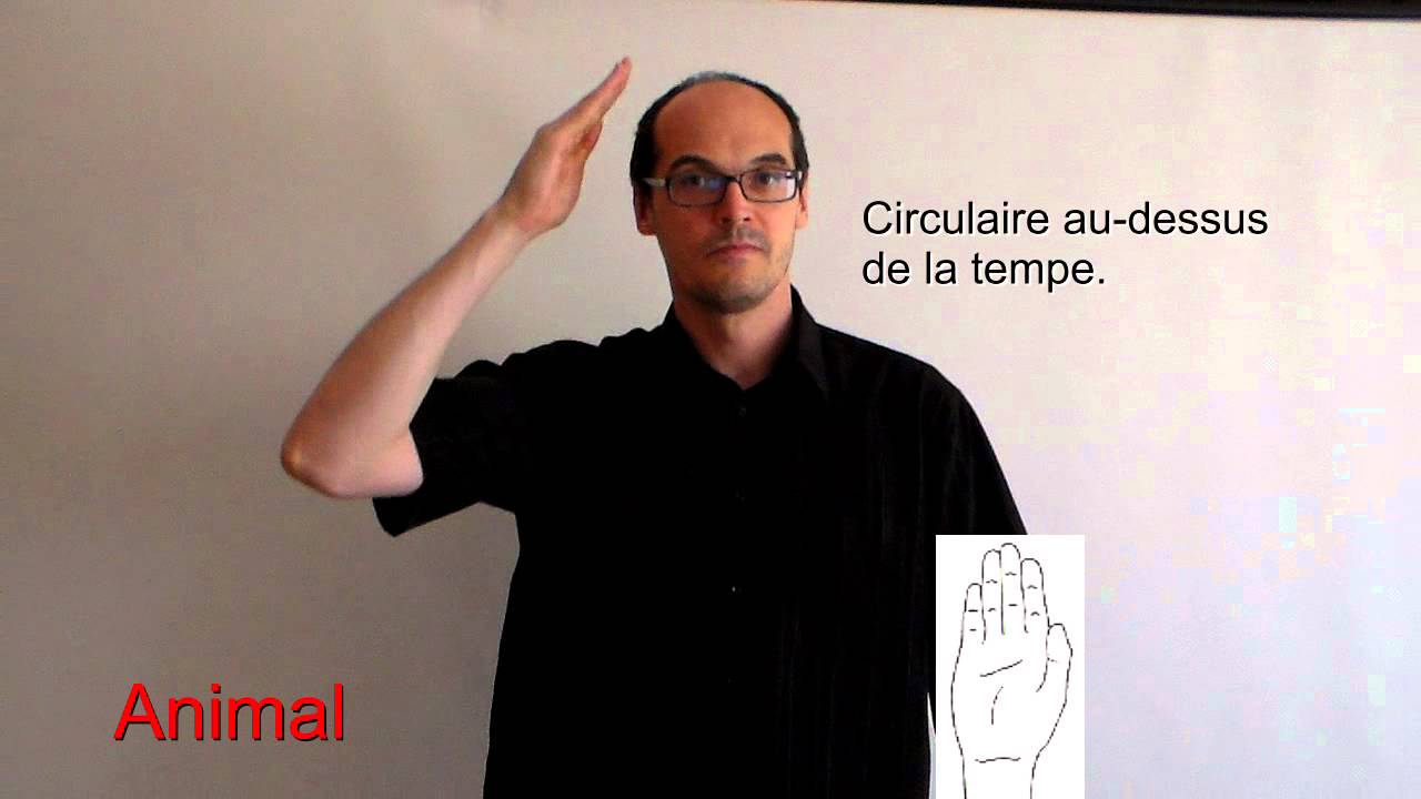 Animal en langue des signes française - YouTube Animal en langue des signes française - YouTube