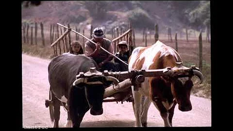 Modesto Garcia y Sus Ases del Norte  - Ezequiel Co...