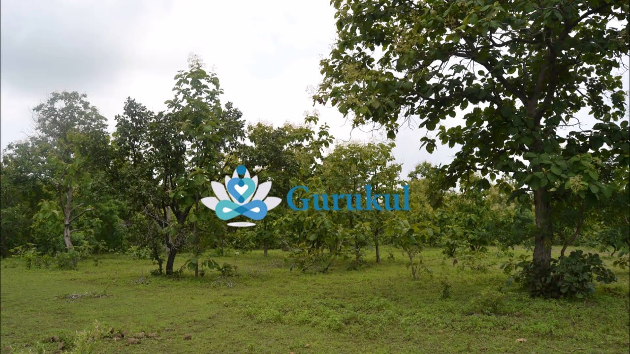 Filmato: The land of Gurukul onlus Association