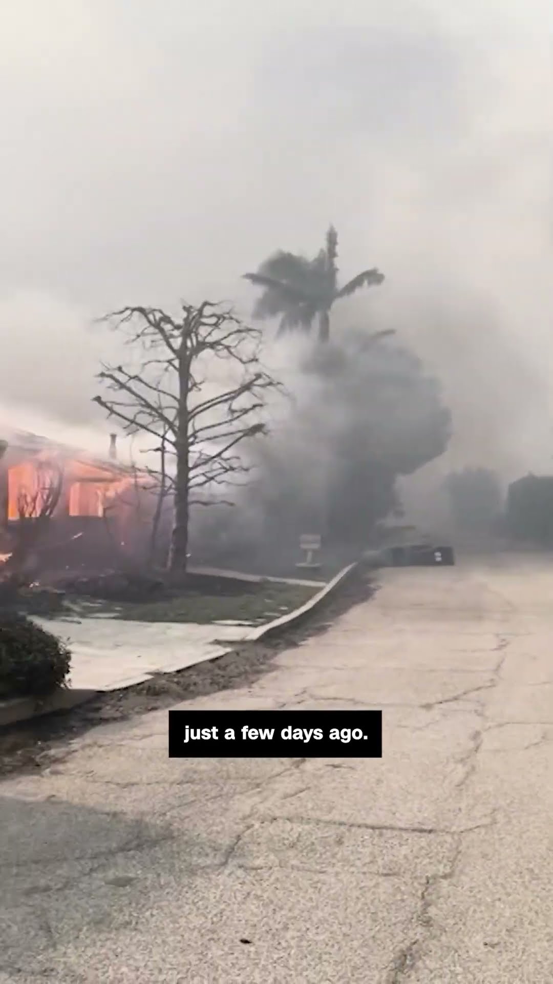Heartbreaking moment family returns to home of 32 years in ruins