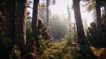 Ultra Realistic Tech DEMO - Book of the Dead - UNITY ENGINE