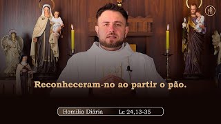 Homilia Diaria Quarta feira Oitava da Pascoa Lc 24 13 35