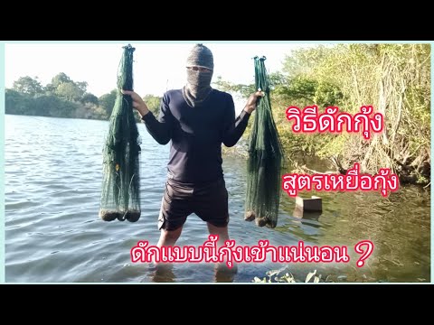 วิธีดักกุ้งฝอยให้ได้ตัว-และสูต