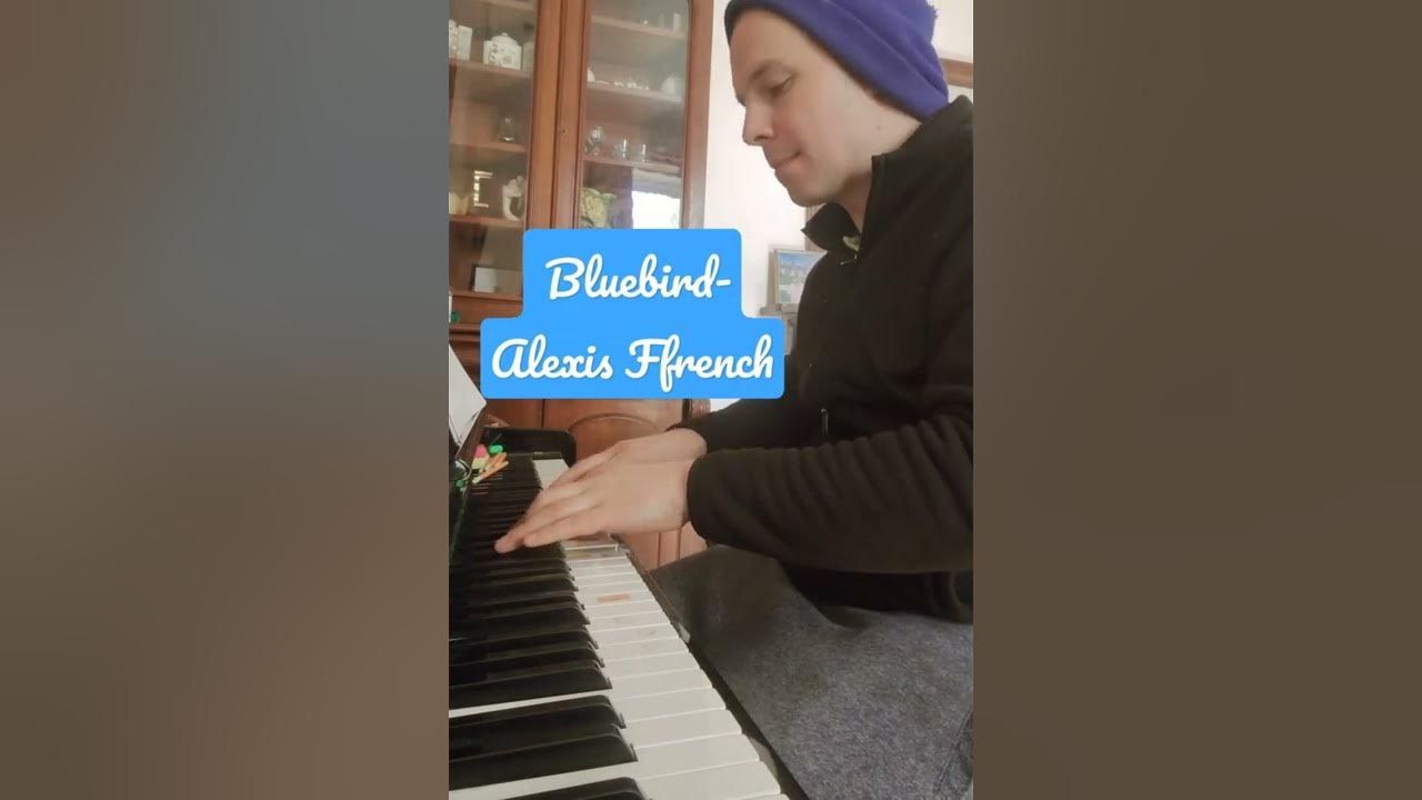 Bluebird- Alexis Ffrench #piano #alexisffrench Bluebird- Alexis Ffrench #piano #alexisffrench