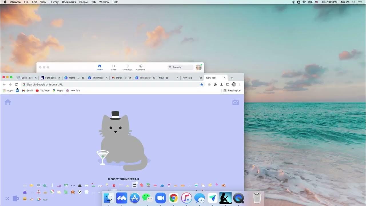 Tabby Cat Hack YouTube