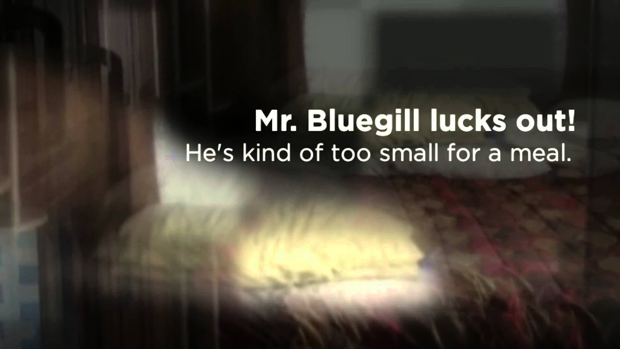 Cassie Mrva's Camping and Fishing trip to Roper Lake State Park