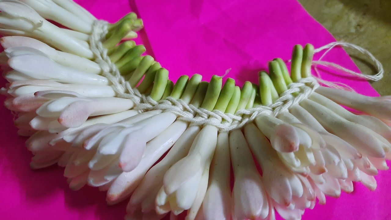 How to string sampangi flower|| How to string Tube rose || How to string sugandaraja flower