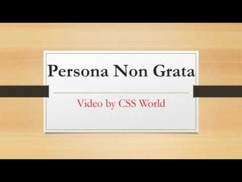 Persona Non Grata |CSS World|