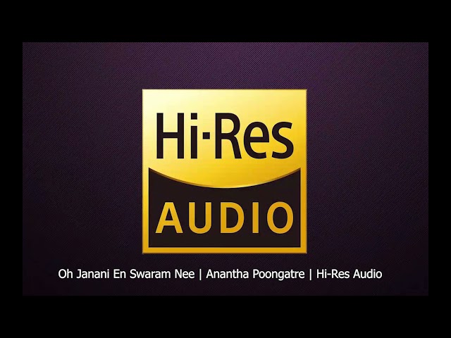 Oh Janani En Swaram Nee | Pudhiya Raagam | Ilaiyaraaja | Mano | Hi-Res Audio class=