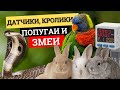 Датчики, кролики, попугаи и змеи - арсенал сейсмологов Казахстана