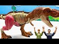Dinosaur Anatomy Play Set | Treating A Sick Tyrannosaurus In Jurassic Park