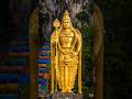🐓Murugan Potri 🦚Muruga Palani #muruganthunai #murugantemple #youtube #shorts #status#south #1million