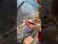 This Paca Is Already Going To The Coals 