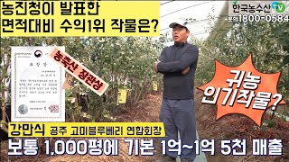 [한국농수산TV] 면적대비 소득1위 작물로 천평에 1억5천 매출올리는 그것은? 충남 공주