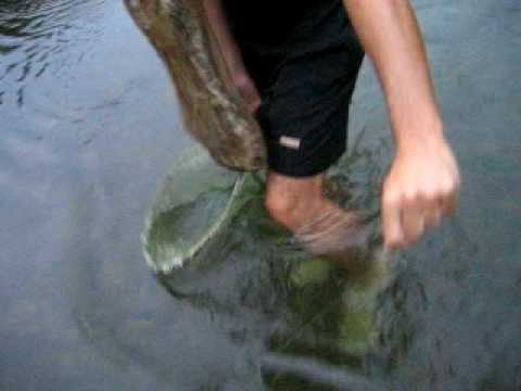 გიორგი ბერძენაძე-13