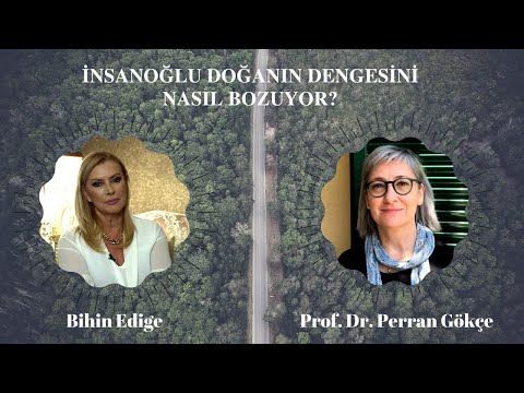 Video: Doğanın dengesi ile ne kastedilmektedir?