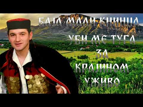 Baja Mali Knindza