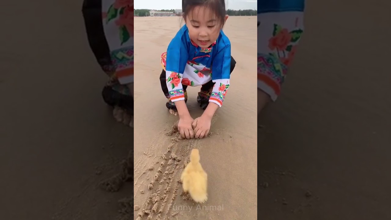 The Ultimate Funny Animals Compilation – Guaranteed Laughs 