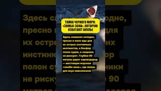 🏝️ ТАЙНА ЧЕРНОГО МОРЯ: «ЗОМБИ-ЗОНА», КОТОРУЮ ИЗБЕГАЮТ АКУЛЫ  #факты  #животные  #интересное