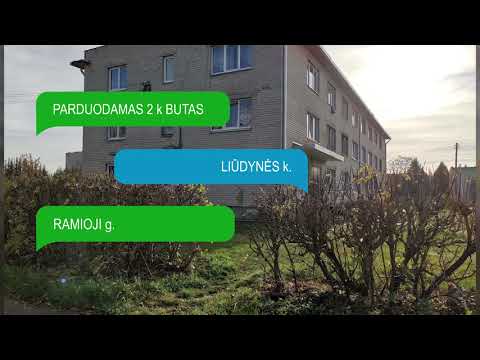 Video: Juodasis vabalas: tvarkingas gamtos atsiųstas