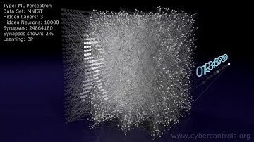 Neural Network 3D Simulation