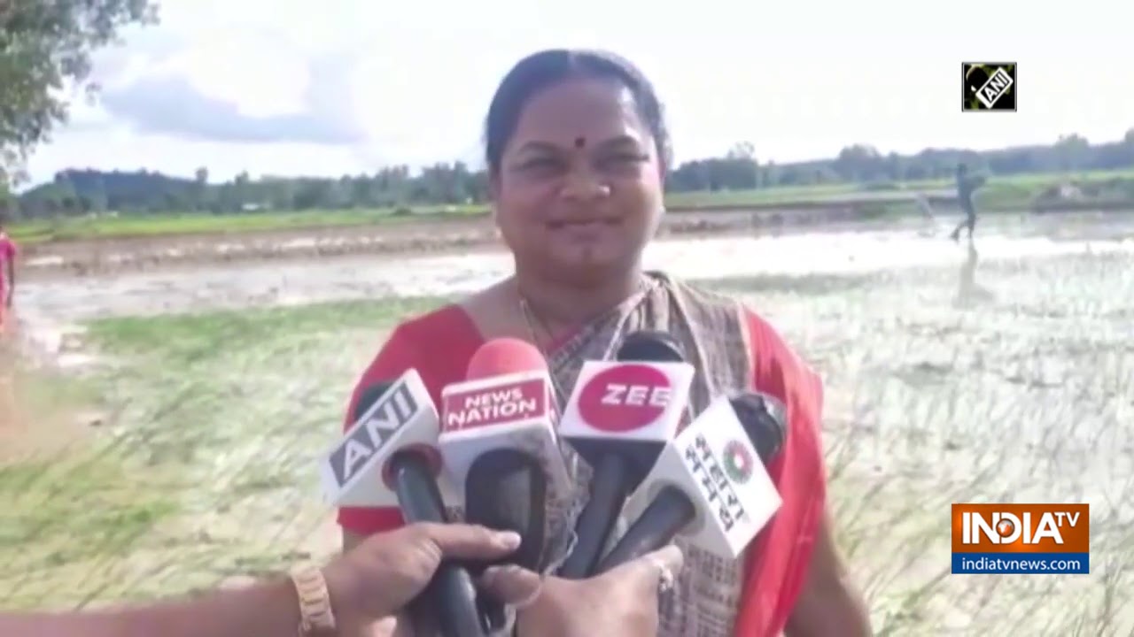 Congress MP remembers her farmer roots, sows paddy in her village in Chhattisgarh