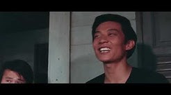 БРЮС ЛИ. РЕАЛЬНЫЕ БОИ И РАЗОБЛАЧЕНИЯ МИФОВ