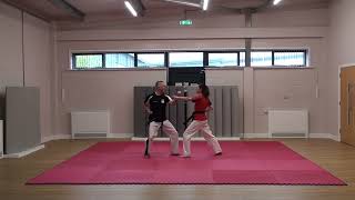 3 Step Sparring - No3