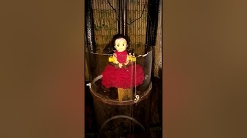 Video 2(Tech): IICDC 2017 - Team 134642 - Quarterfinal Submission - Part 2