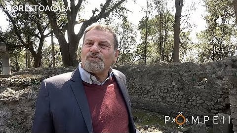 Massimo Osanna - Heroon al Foro Triangolare