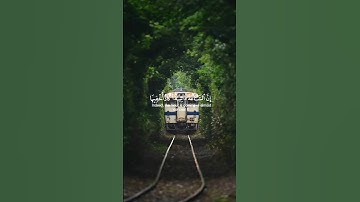 اية من سورة طه || القارئ بشار سراج