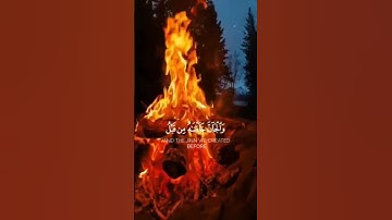 سورة الحجر الآية(26/27) #ولقد_خلقنا_الإنسان #القارئ_شريف_مصطفى