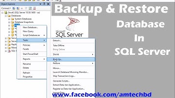 How to backup and restore database in SQL server