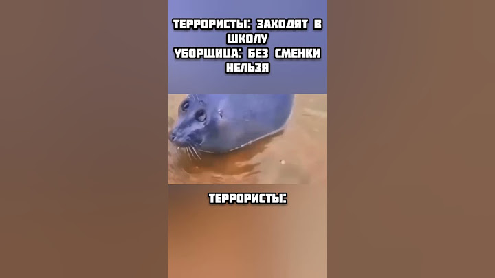 шутка про террористов / мем грустный тюлень