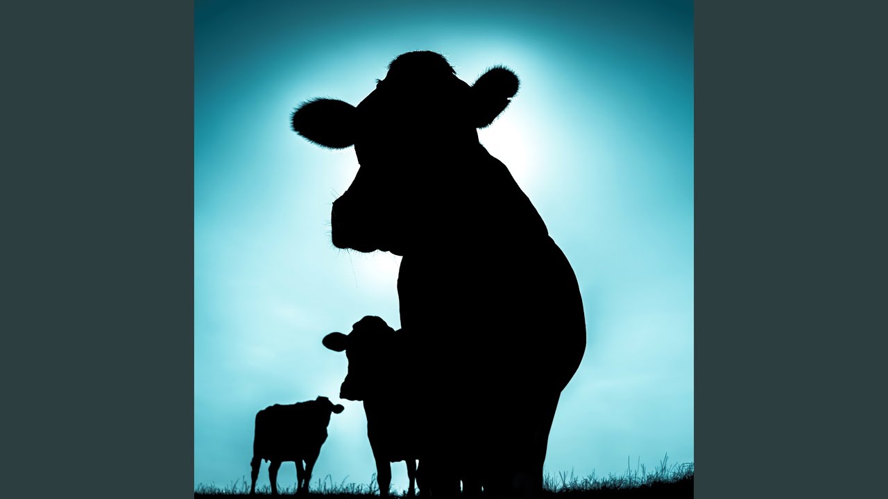 Watch Liaima on YouTube Watch Liaima on YouTube