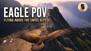 Eagle POV | Flying Above the Swiss Alps HD