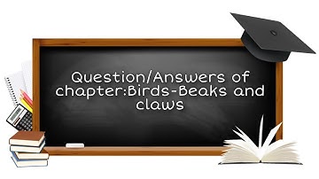 BIRDS- BEAKS AND CLAWS I CLASS 4 SCIENCE I CHAPTER 5 QUESTION/ ANSWERS